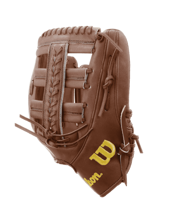 Custom Baseball Glove