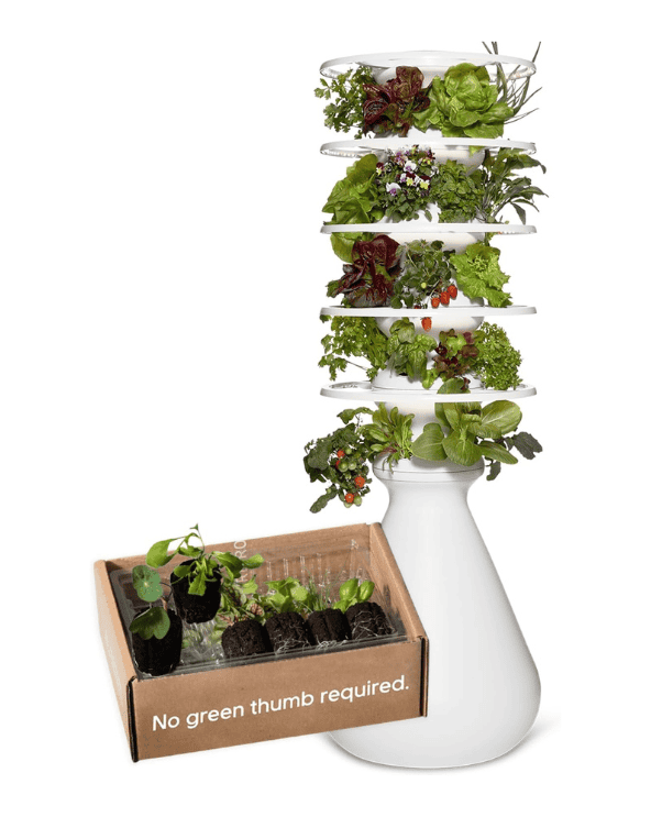 Indoor Garden