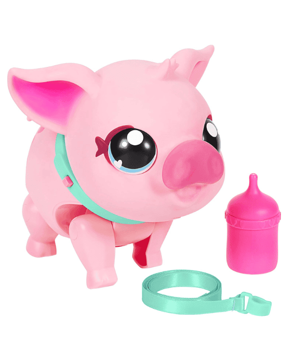 Pet Pig Toy