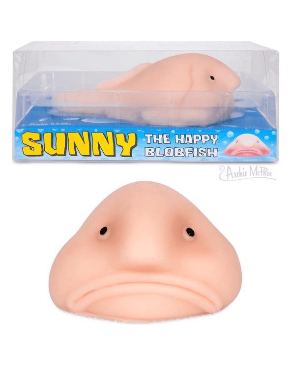 Sunny The Blobfish