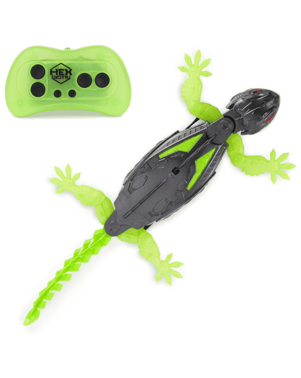 Wall Crawler Gecko
